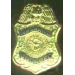 US IMMIGRATION COUNSEL BADGE PIN